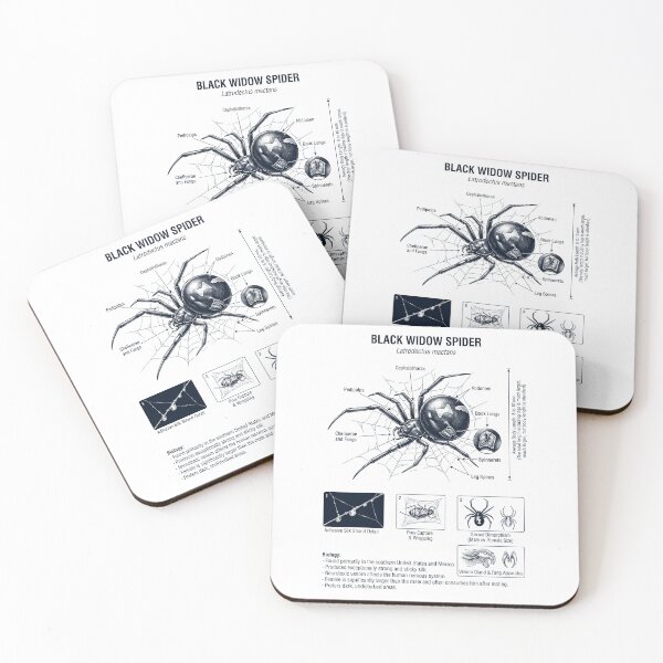 Item preview, Black Widow Spider Scientific Anatomy Biology Animal Lover designed and sold by dian-rody-crest.