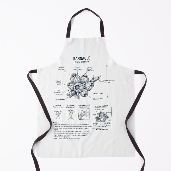 Item preview, Barnacle Scientific Anatomy Biology Animal Lover designed and sold by dian-rody-crest.