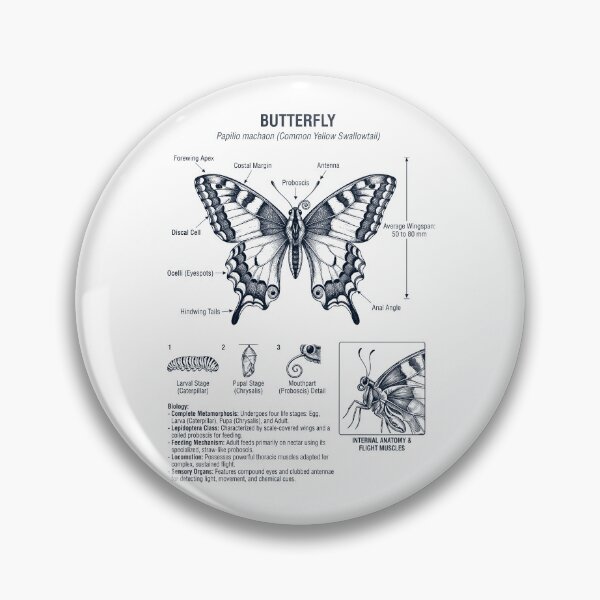 Item preview, Butterfly Scientific Anatomy Biology Animal Lover designed and sold by dian-rody-crest.