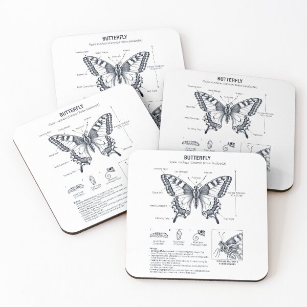 Item preview, Butterfly Scientific Anatomy Biology Animal Lover designed and sold by dian-rody-crest.