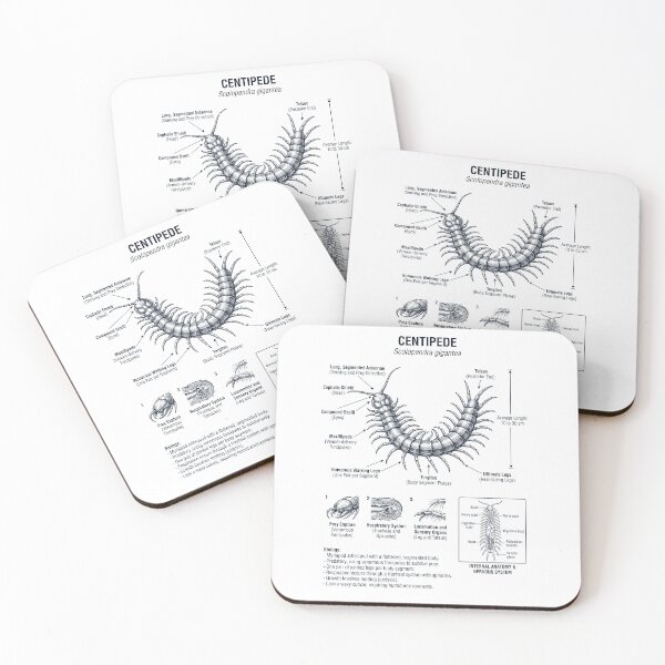 Item preview, Centipede Scientific Anatomy Biology Animal Lover designed and sold by dian-rody-crest.