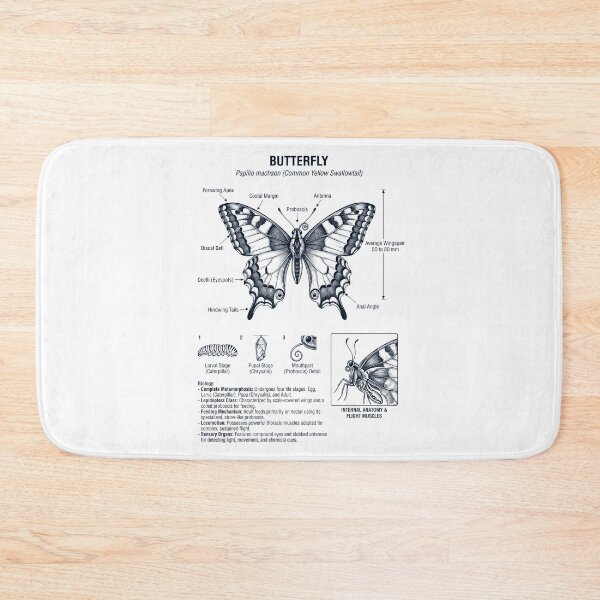 Item preview, Butterfly Scientific Anatomy Biology Animal Lover designed and sold by dian-rody-crest.