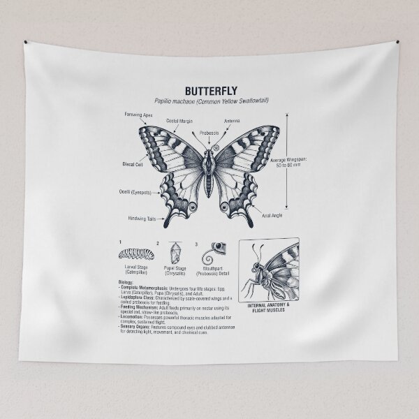 Item preview, Butterfly Scientific Anatomy Biology Animal Lover designed and sold by dian-rody-crest.