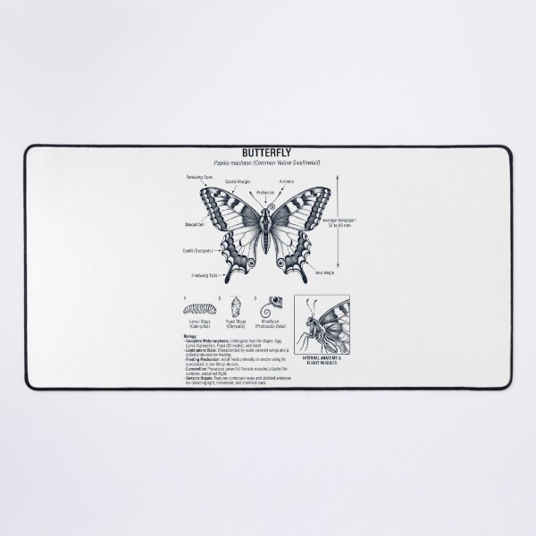 Item preview, Butterfly Scientific Anatomy Biology Animal Lover designed and sold by dian-rody-crest.