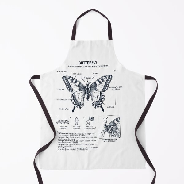 Item preview, Butterfly Scientific Anatomy Biology Animal Lover designed and sold by dian-rody-crest.