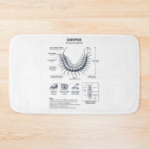 Item preview, Centipede Scientific Anatomy Biology Animal Lover designed and sold by dian-rody-crest.