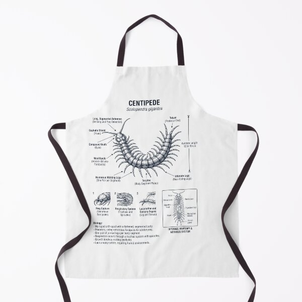 Item preview, Centipede Scientific Anatomy Biology Animal Lover designed and sold by dian-rody-crest.