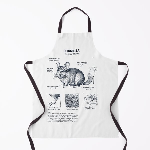 Item preview, Chinchilla Scientific Anatomy Biology Animal Lover designed and sold by dian-rody-crest.