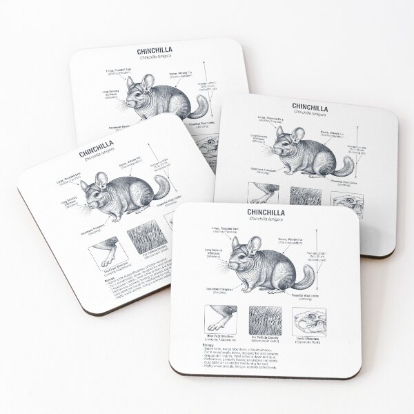 Item preview, Chinchilla Scientific Anatomy Biology Animal Lover designed and sold by dian-rody-crest.