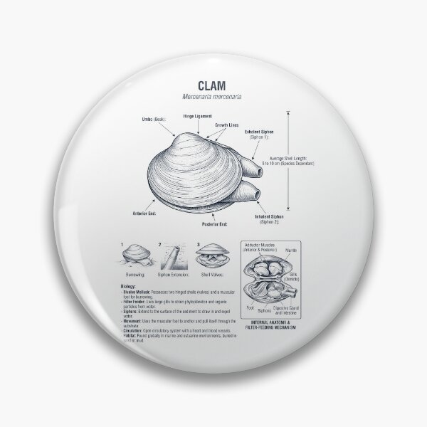 Item preview, Clam Scientific Anatomy Biology Animal Lover designed and sold by dian-rody-crest.