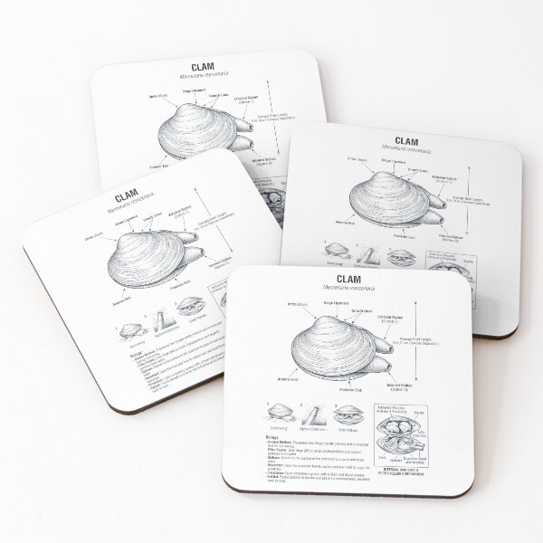 Item preview, Clam Scientific Anatomy Biology Animal Lover designed and sold by dian-rody-crest.