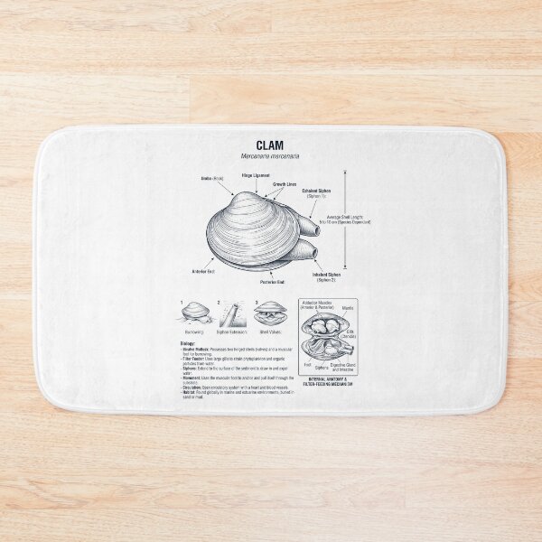 Item preview, Clam Scientific Anatomy Biology Animal Lover designed and sold by dian-rody-crest.