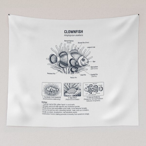 Item preview, Clownfish Scientific Anatomy Biology Animal Lover designed and sold by dian-rody-crest.