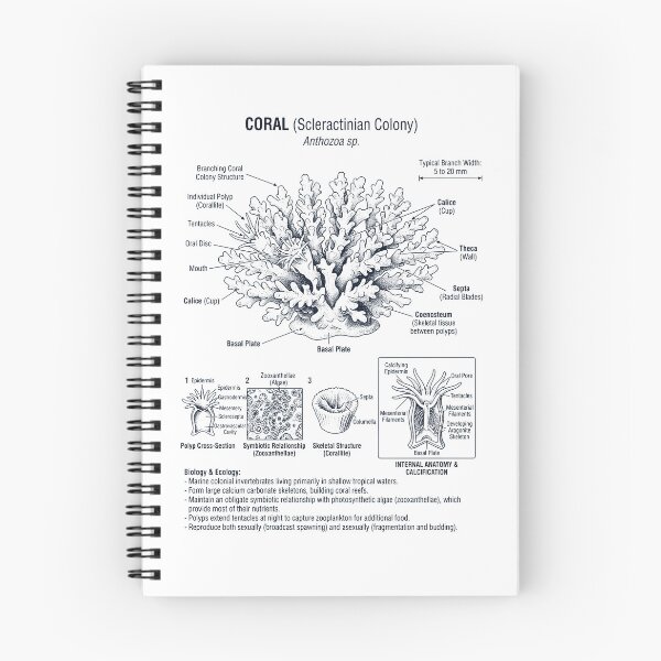 Item preview, Coral Scientific Anatomy Biology Animal Lover designed and sold by dian-rody-crest.