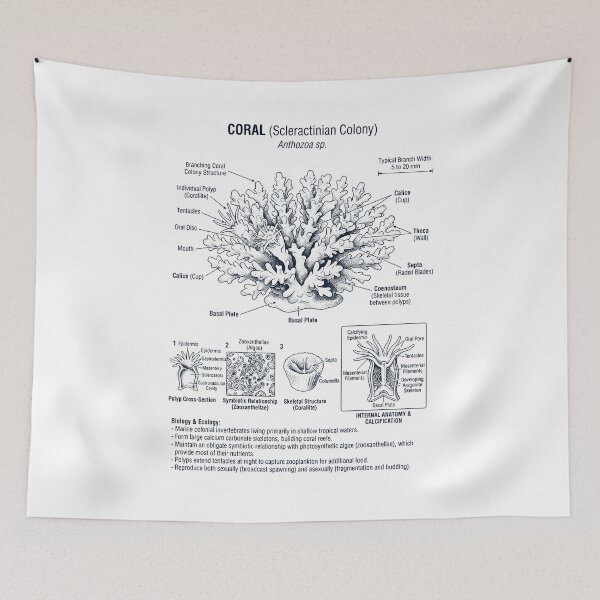 Item preview, Coral Scientific Anatomy Biology Animal Lover designed and sold by dian-rody-crest.