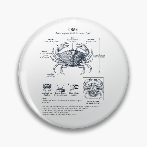 Item preview, Crab Scientific Anatomy Biology Animal Lover designed and sold by dian-rody-crest.