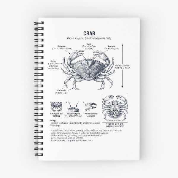 Item preview, Crab Scientific Anatomy Biology Animal Lover designed and sold by dian-rody-crest.