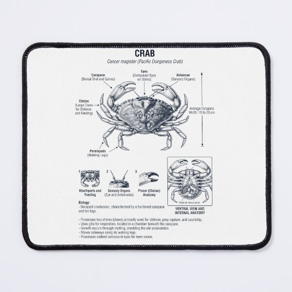 Item preview, Crab Scientific Anatomy Biology Animal Lover designed and sold by dian-rody-crest.