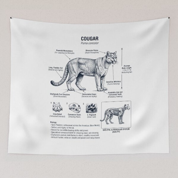 Item preview, Cougar Scientific Anatomy Biology Animal Lover designed and sold by dian-rody-crest.