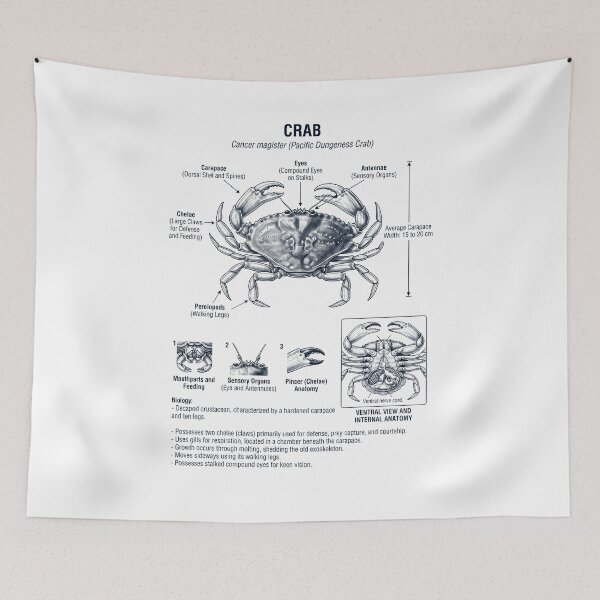 Item preview, Crab Scientific Anatomy Biology Animal Lover designed and sold by dian-rody-crest.