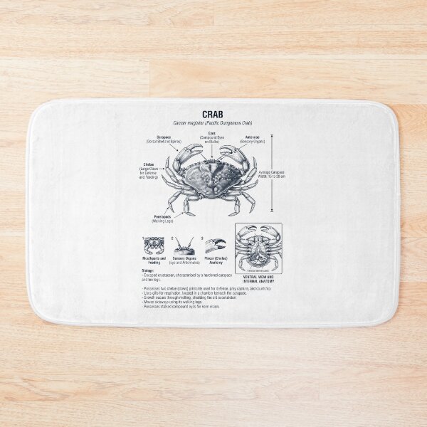 Item preview, Crab Scientific Anatomy Biology Animal Lover designed and sold by dian-rody-crest.