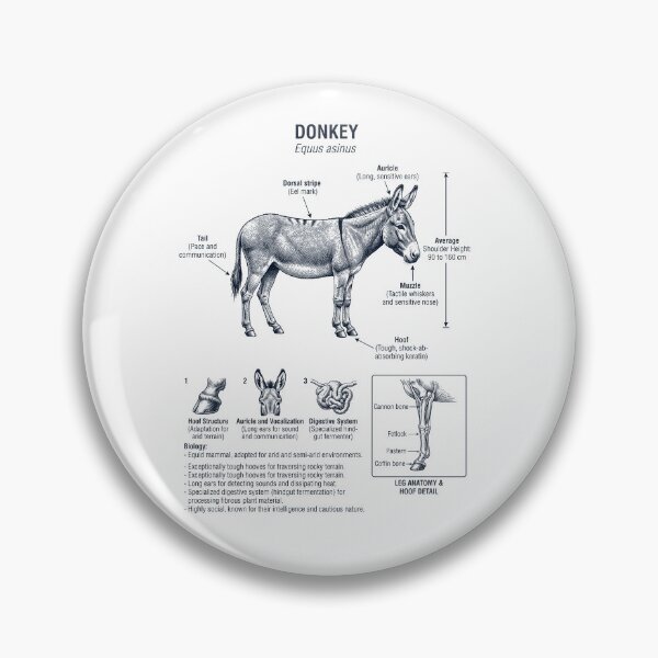 Item preview, Donkey Scientific Anatomy Biology Animal Lover designed and sold by dian-rody-crest.