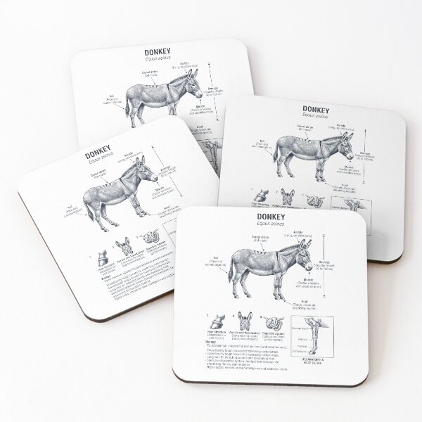 Item preview, Donkey Scientific Anatomy Biology Animal Lover designed and sold by dian-rody-crest.