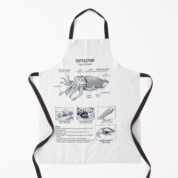 Item preview, Cuttlefish Scientific Anatomy Biology Animal Lover designed and sold by dian-rody-crest.