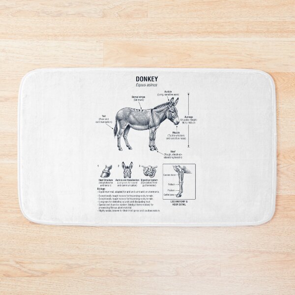 Item preview, Donkey Scientific Anatomy Biology Animal Lover designed and sold by dian-rody-crest.