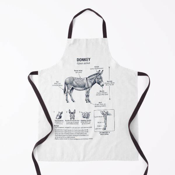 Item preview, Donkey Scientific Anatomy Biology Animal Lover designed and sold by dian-rody-crest.