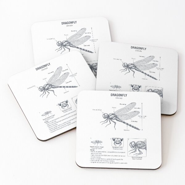 Item preview, Dragon Fly Scientific Anatomy Biology Animal Lover designed and sold by dian-rody-crest.