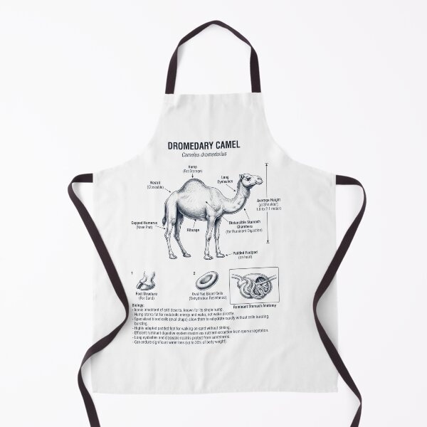 Item preview, Dromedary Camel Scientific Anatomy Biology Animal Lover designed and sold by dian-rody-crest.