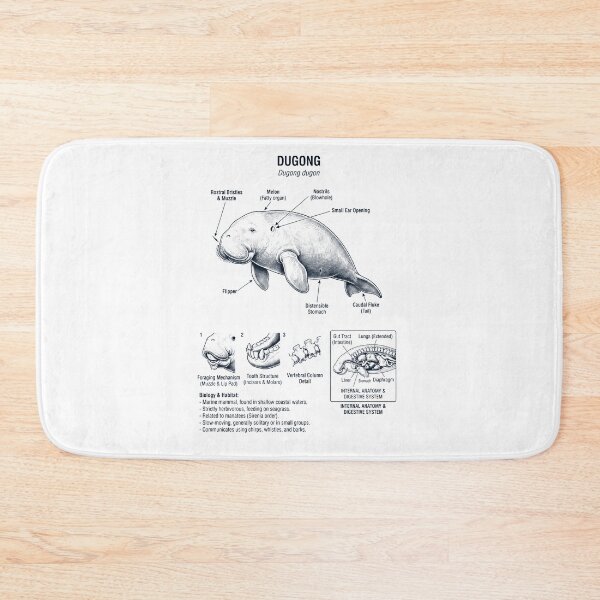 Item preview, Dugong Scientific Anatomy Biology Animal Lover designed and sold by dian-rody-crest.