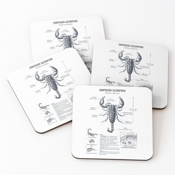Item preview, Emperor Scorpion Scientific Anatomy Biology Animal Lover designed and sold by dian-rody-crest.