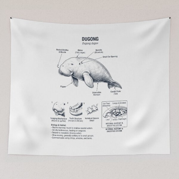 Item preview, Dugong Scientific Anatomy Biology Animal Lover designed and sold by dian-rody-crest.