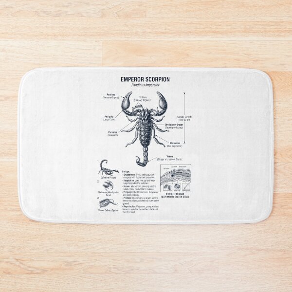Item preview, Emperor Scorpion Scientific Anatomy Biology Animal Lover designed and sold by dian-rody-crest.