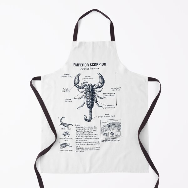 Item preview, Emperor Scorpion Scientific Anatomy Biology Animal Lover designed and sold by dian-rody-crest.