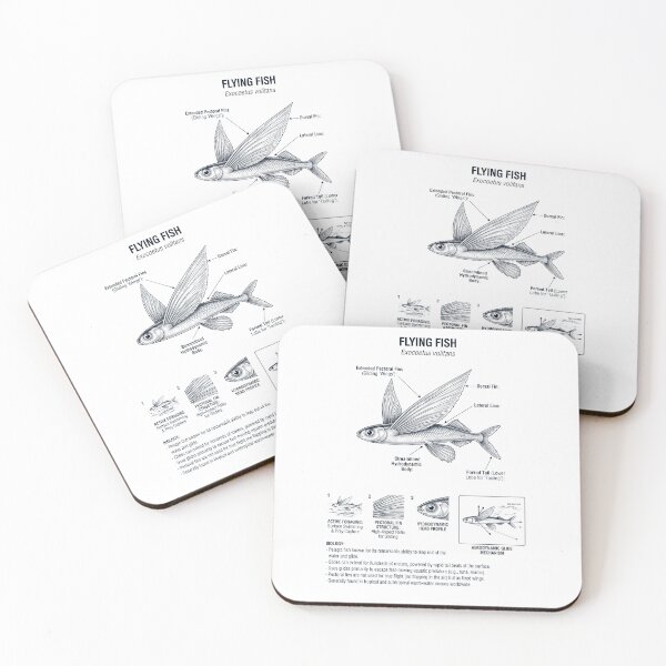 Item preview, Flying Fish Scientific Anatomy Biology Animal Lover designed and sold by dian-rody-crest.