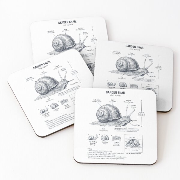 Item preview, Garden Snail Scientific Anatomy Biology Animal Lover designed and sold by dian-rody-crest.