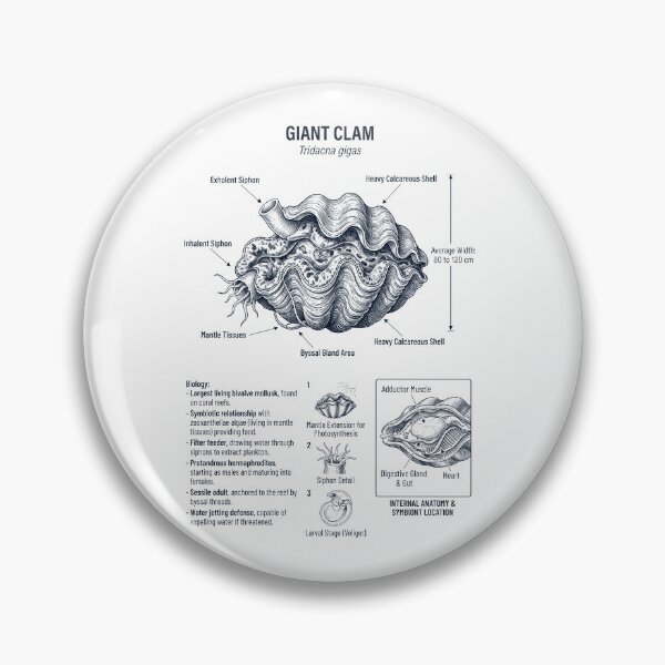 Item preview, Giant Clam Scientific Anatomy Marine Biology Animal Lover designed and sold by dian-rody-crest.