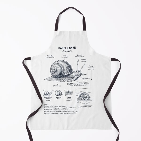 Item preview, Garden Snail Scientific Anatomy Biology Animal Lover designed and sold by dian-rody-crest.