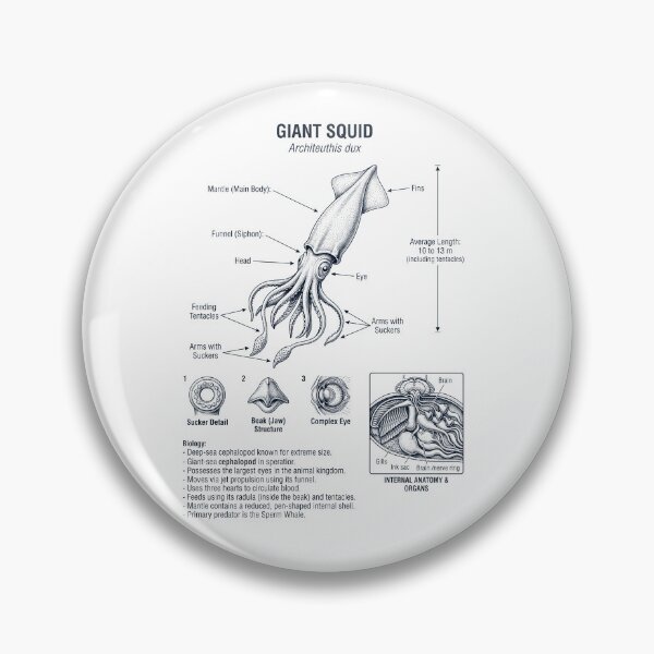 Item preview, Giant Squid Scientific Anatomy Marine Biology Animal Lover designed and sold by dian-rody-crest.