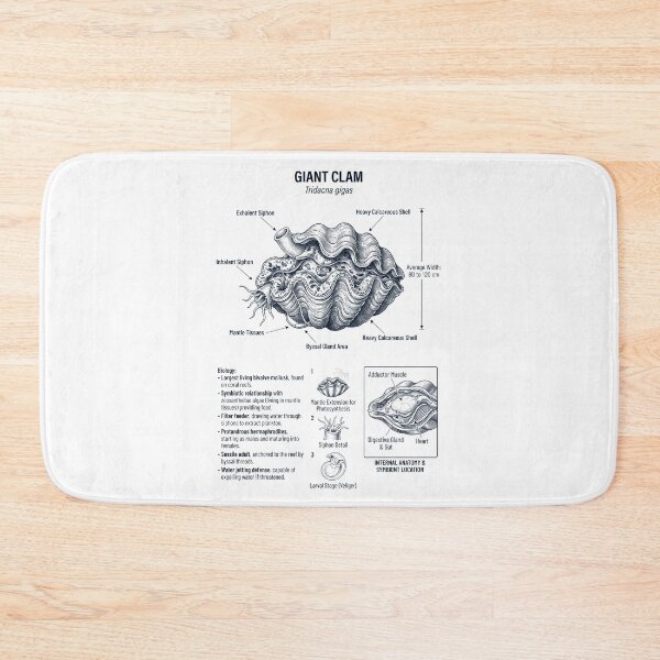 Item preview, Giant Clam Scientific Anatomy Marine Biology Animal Lover designed and sold by dian-rody-crest.