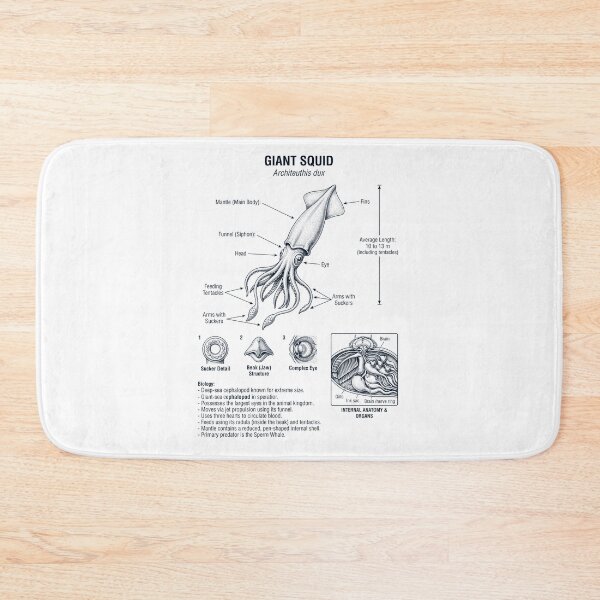 Item preview, Giant Squid Scientific Anatomy Marine Biology Animal Lover designed and sold by dian-rody-crest.