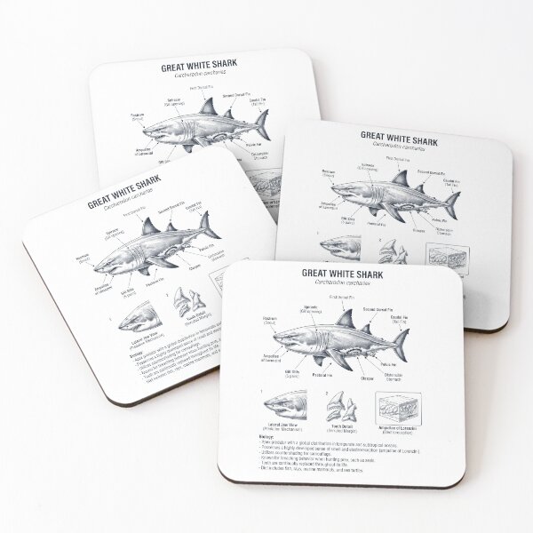 Item preview, Great White Shark Scientific Anatomy Marine Biology Animal Lover designed and sold by dian-rody-crest.