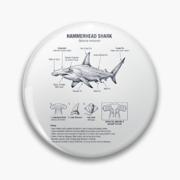 Item preview, Hammerhead Shark Scientific Anatomy Biology Animal Lover designed and sold by dian-rody-crest.