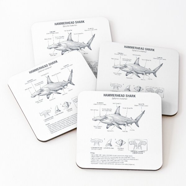 Item preview, Hammerhead Shark Scientific Anatomy Biology Animal Lover designed and sold by dian-rody-crest.