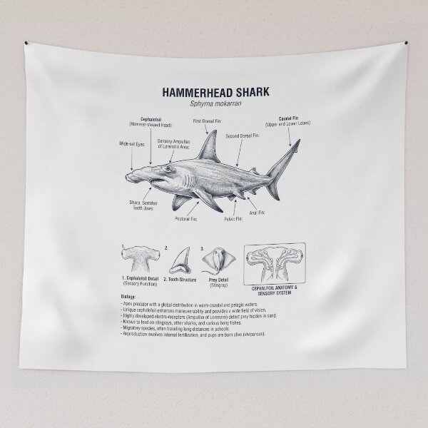 Item preview, Hammerhead Shark Scientific Anatomy Biology Animal Lover designed and sold by dian-rody-crest.