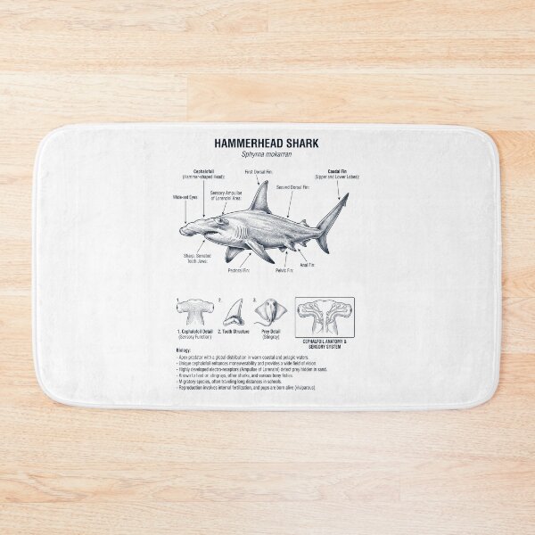 Item preview, Hammerhead Shark Scientific Anatomy Biology Animal Lover designed and sold by dian-rody-crest.