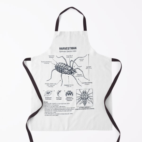 Item preview, Harvestman Scientific Anatomy Biology Animal Lover designed and sold by dian-rody-crest.